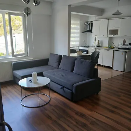 Apartment Sabiha Goekcen 5 Dk A Havuzlu Otoparkli Yesillikler Icinde