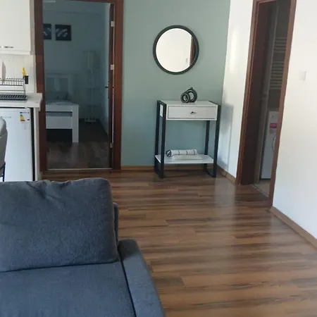 Sabiha Goekcen 5 Dk A Havuzlu Otoparkli Yesillikler Icinde Apartment